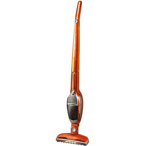 Aspirateur ELECTROLUX ZB2904X Ergorapido