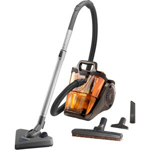 Aspirateur ROWENTA RO667911