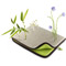 Photos LaCie Vegetal 15