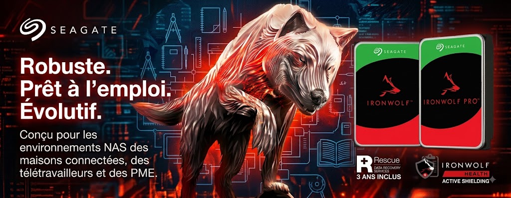 SEAGATE Ironwolf NAS