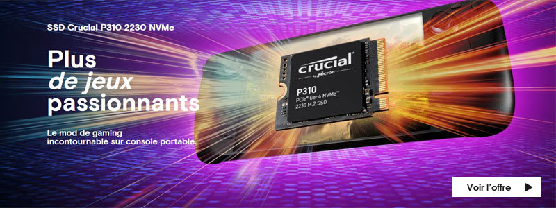 CRUCIAL  SSD P310 M.2 2230