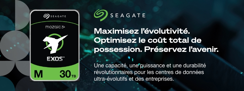 Seagate Exos M