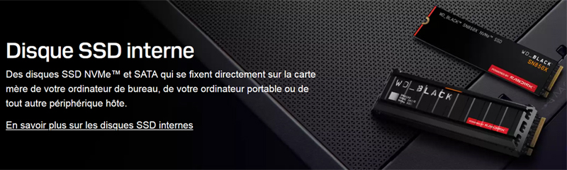 SANDISK SSD Internes