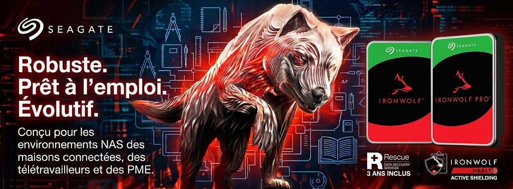 SEAGATE Ironwolf NAS