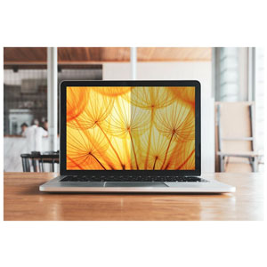 photo Filter 3M Bright 13.5in/3:2