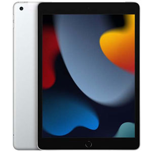 photo iPad Wi-Fi + Cellular - 10.2  / 256Go / Argent