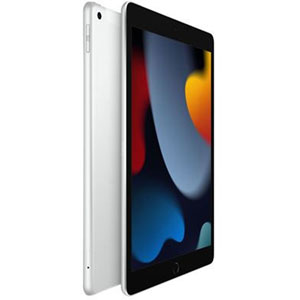 iPad Wi-Fi + Cellular - 10.2  / 64Go / Argent