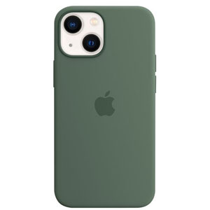 photo Coque silicone MagSafe iPhone 13 mini - Eucalyptus