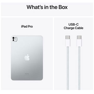 iPad Pro Wi-Fi - 11p / 256Go / Argent