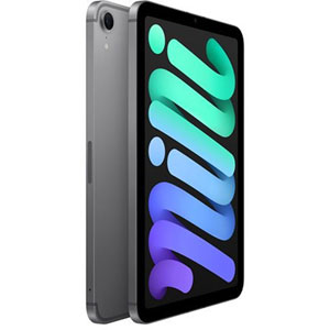 iPad Mini WiFi +Cellular (2024) 8.3p 256Go / Gris