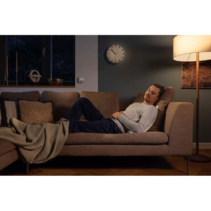 Smart Home Thermostat d'ambiance II