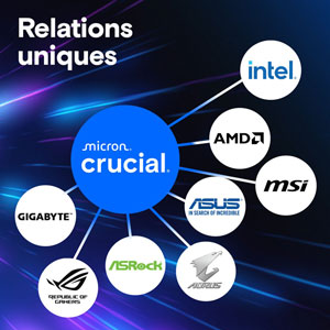 Crucial Pro DDR5 5600MHz - 24Go / CL46