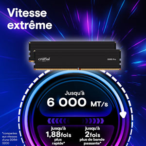 Crucial Pro DDR5 6000MHz - 16Go / CL48