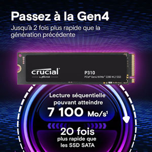 P310 PCIe Gen4 NVMe M.2 2280 - 4To