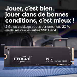 P310 PCIe Gen4 NVMe M.2 2280 - 4To