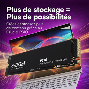 P310 PCIe Gen4 NVMe M.2 2280 - 4To