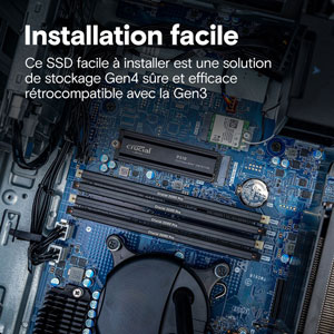 P310 PCIe Gen4 NVMe M.2 2280 - 4To / HeatSink