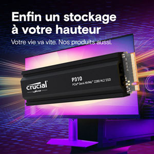 P310 PCIe Gen4 NVMe M.2 2280 - 4To / HeatSink