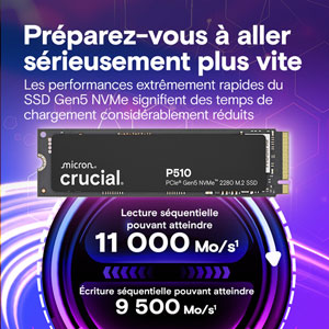 P510 PCIe Gen5 NVMe M.2 2280 - 2To