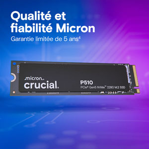 P510 PCIe Gen5 NVMe M.2 2280 - 2To