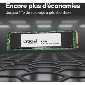 E100 M.2 2280 PCIe 4.0 x4 (NVMe) - 2 To