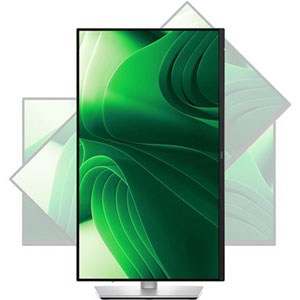 Pro 24 Plus QHD P2425D