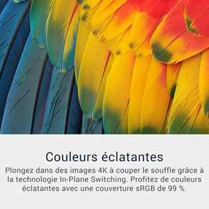 Plus S3225QS