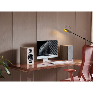 Horus 6B Active BT - Bois clair, Beige (la paire)