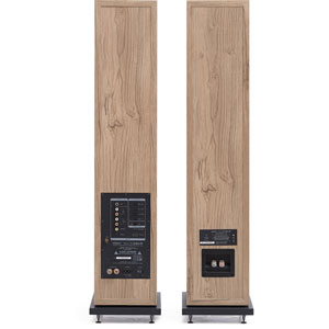 Horus 11F Active BT - Bois clair, Beige (la paire)