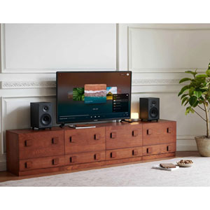 Monitor III Neo Active BT - Noir