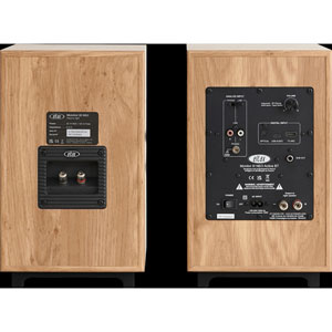 Monitor III Neo Active BT - Noyer clair