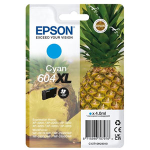 photo Série Ananas 604XL - Cyan / 350 pages