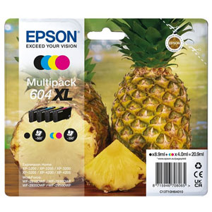 photo Série Ananas 604XL Multipack
