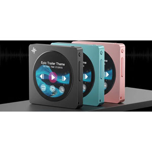 Snowsky Disc Rose