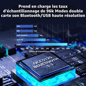 BTR13 Bleu