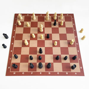 Jeu d'échecs Premium Classics