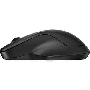 255 Dual Wireless Mouse