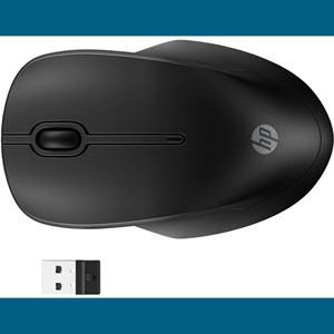 255 Dual Wireless Mouse