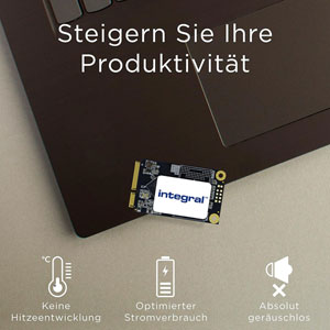 M.2 2242 SATA III SSD - 1To