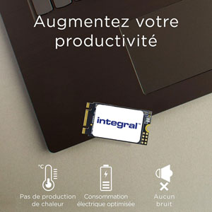 M.2 2242 SATA III SSD - 256Go