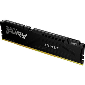 FURY Beast DDR5 PC5-48000 - 8Go / CL40