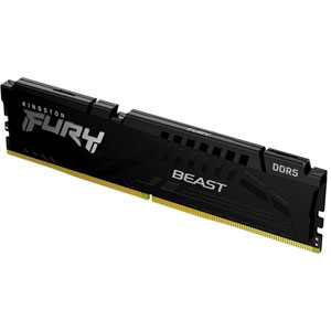photo FURY Beast DDR5 PC5-48000 - 16Go / CL36