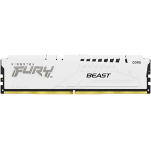 photo FURY Beast DDR5 PC5-48000 - 16Go / CL36 / White