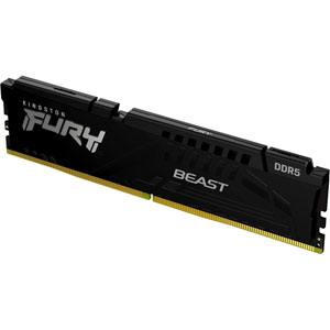 FURY Beast DDR5 6400MHz - 16Go / CL32