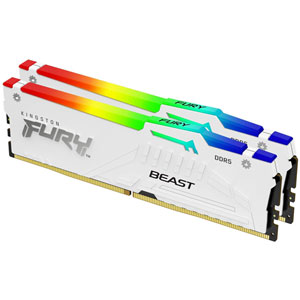 FURY Beast RGB DDR5 5600MHz - 2x16Go / CL36 / WH