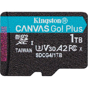 Canvas Go! Plus SDXC UHS-I U3 Class 10 - 1To