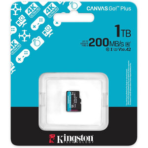 Canvas Go! Plus SDXC UHS-I U3 Class 10 - 1To