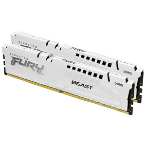 FURY Beast 32 Go 6000 MT/s DDR