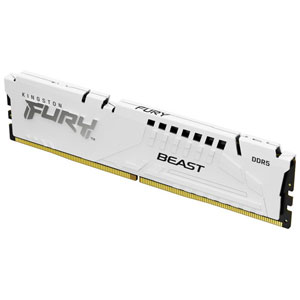 FURY Beast 32 Go 6000 MT/s DDR
