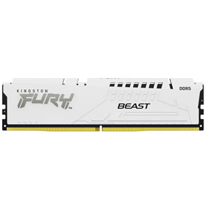 FURY Beast 32 Go 6000 MT/s DDR